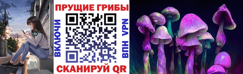 Галлюциногенные грибы MAGIC MUSHROOMS  Химки 